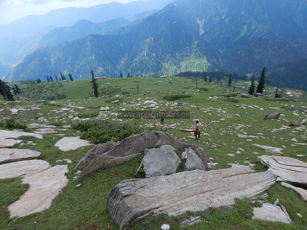 Musa Ka Musalla in Abbottabad